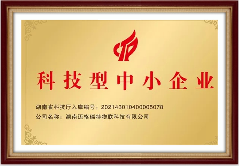 科技型中小企業(yè)